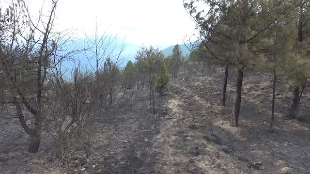 Yangının büyümesi üzerine Bartın, Kastamonu, Zonguldak ve Bolu’dan Orman İşletme Müdürlüğü'ne bağlı ekipler, bölgeye takviye olarak geldi.