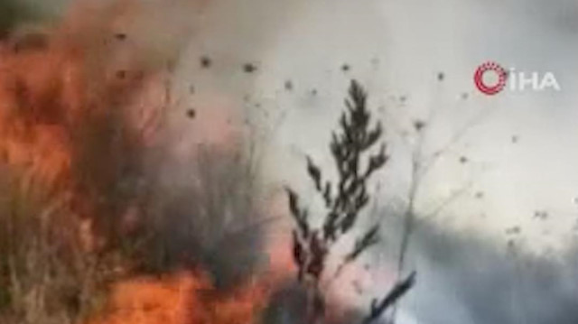 Bursa'da yol kenarındaki yangını gören vatandaşlar araçlarını durdurarak yangını söndürdü
