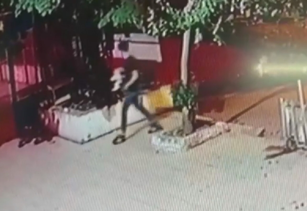 Şüphelinin kediyi yerden yere vurma anları da kameraya yansıdı