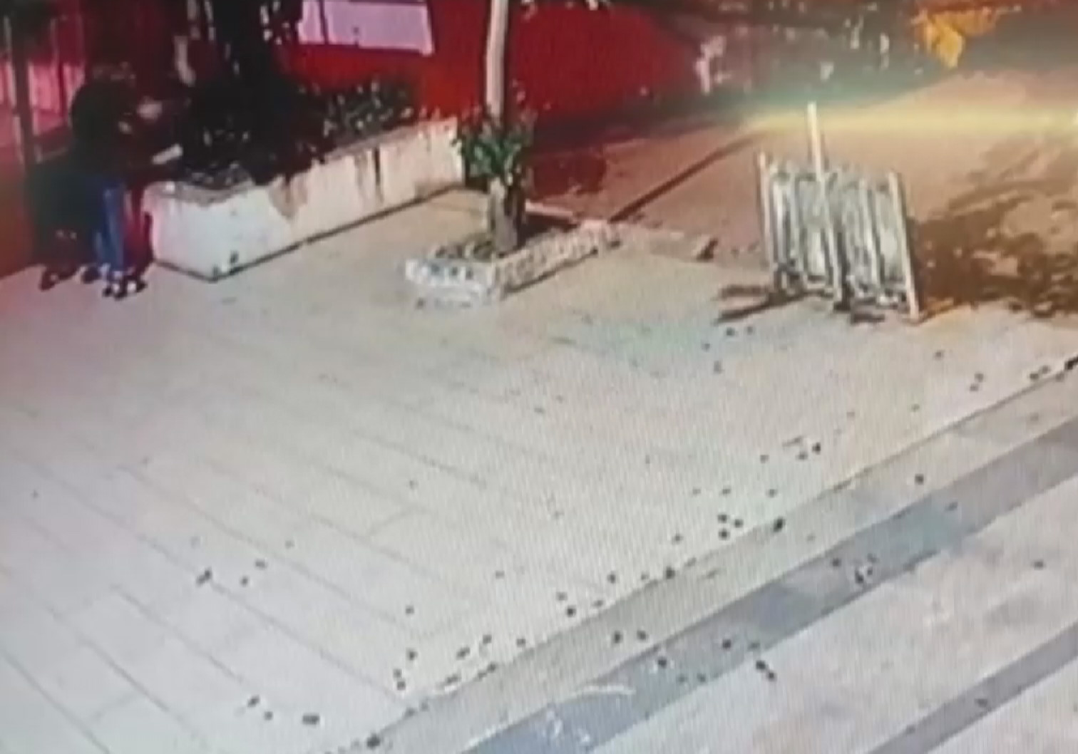 Şüphelinin kediyi yerden yere vurma anları da kameraya yansıdı