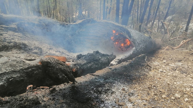 Sütçüler orman yangını 8'inci günde kontrol altına alındı.