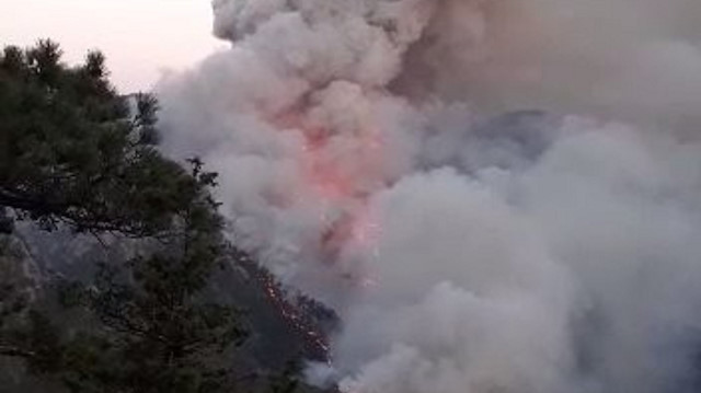 Akseki yangınında 20 hektar kızılçam ormanı yanmıştı.