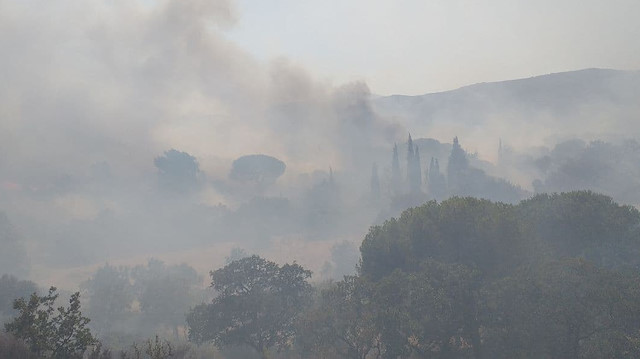 Bordum'daki orman yangını kontrol altına alındı.