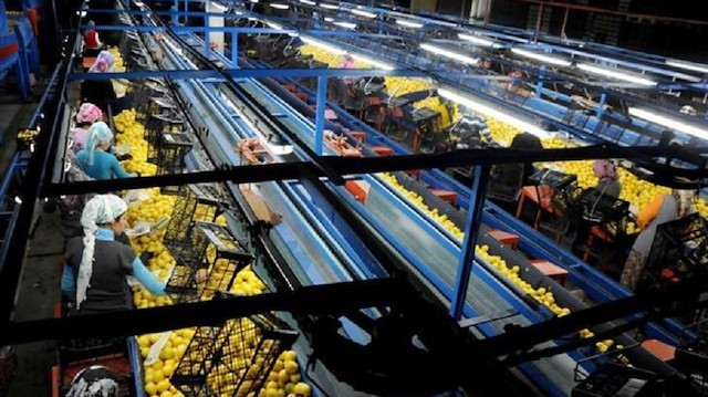 نمو صادرات الليمون التركية 59 بالمئة
