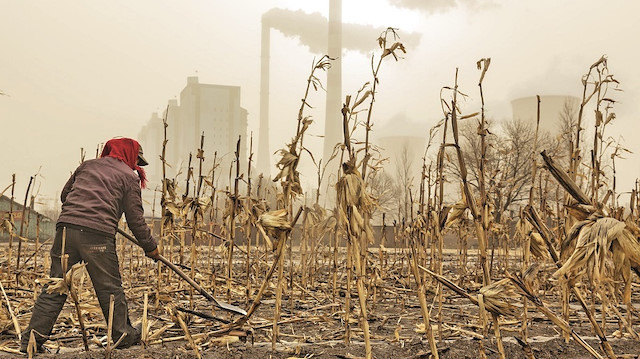 Dünya iklim krizini konuşuyor: 
Bazı gıdaları unutabiliriz
