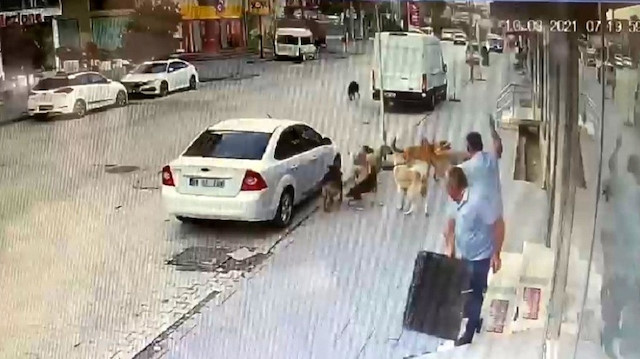 Sokak köpekleri dükkan önünde oturan vatandaşa saldırdı.
