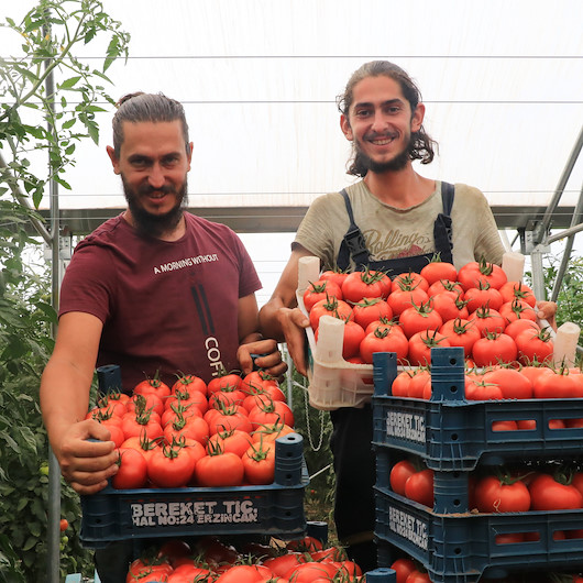Mühendis iki kardeş çiftlik kurup hayallerini gerçekleştirdi: Türk gençlerini köylere çiftçilik yapmaya davet ediyoruz kendi işinizin patronu olun
