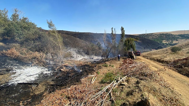 Yangın nedeniyle köylülerin mera olarak kullandığı 300 hektarlık alan küle döndü.
