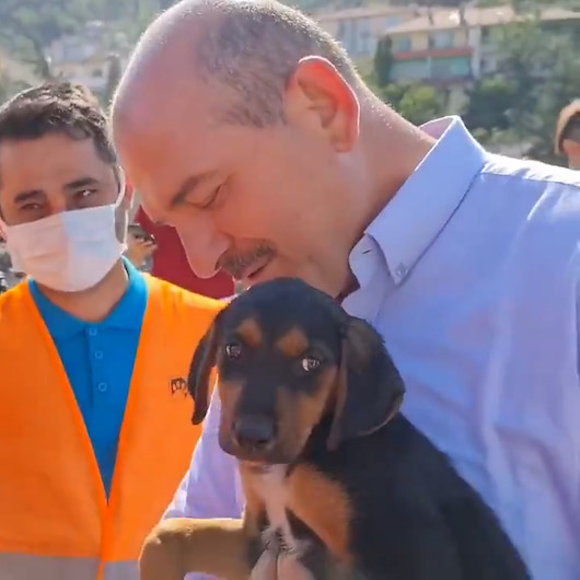 Bakan Soylu anne köpeğin ekipleri yönlendirmesi sonucu kurtarılan
