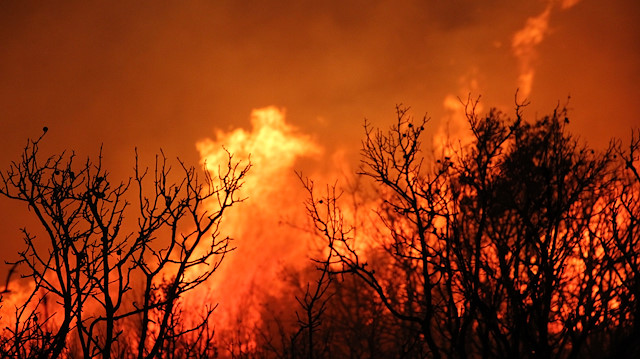 Manisa'da orman yangını: Alevler kısmen kontrol altına alındı