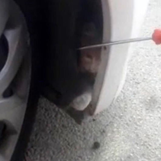 Kırıkkalede otomobilin tamponunda mahsur kalan kedi kurtarıldı