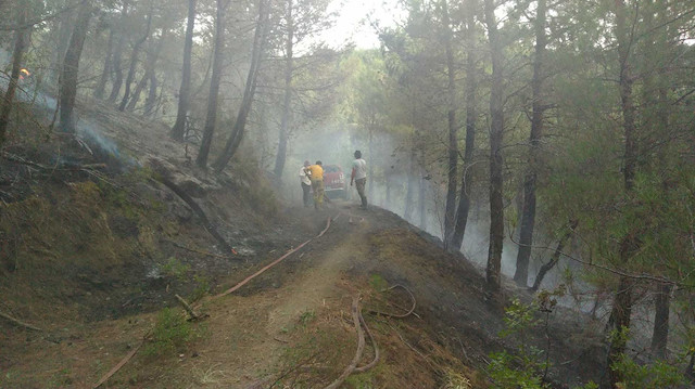 Denizli'deki orman yangını söndürüldü