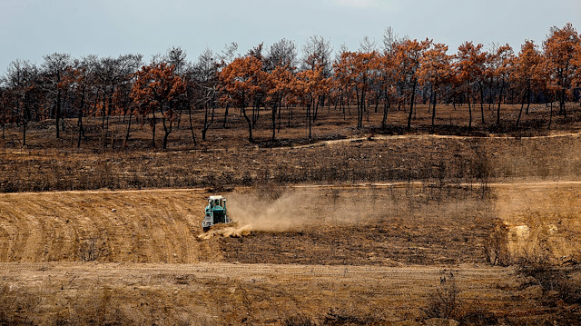 Manavgat will rise from its ashes: Its burning forests will turn green again with 100 million saplings