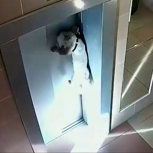 Asansör kapısına sıkışan köpek böyle kurtarıldı