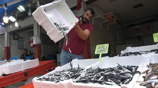 Balıkçılar az çıkan balık çeşidi nedeniyle vatandaşların yüksek fiyattan yakındığını ifade etti.