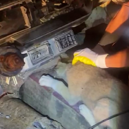 Hurda aracın vites boşluğunda sıkışan yavru köpek kurtarıldı