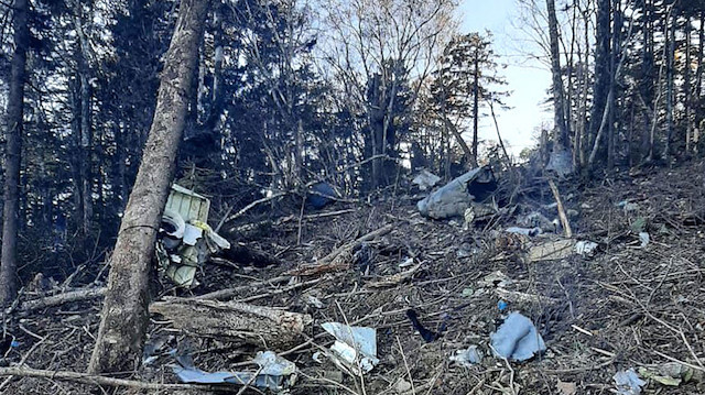 Habarovsk bölgesinde düşen uçağın enkazı