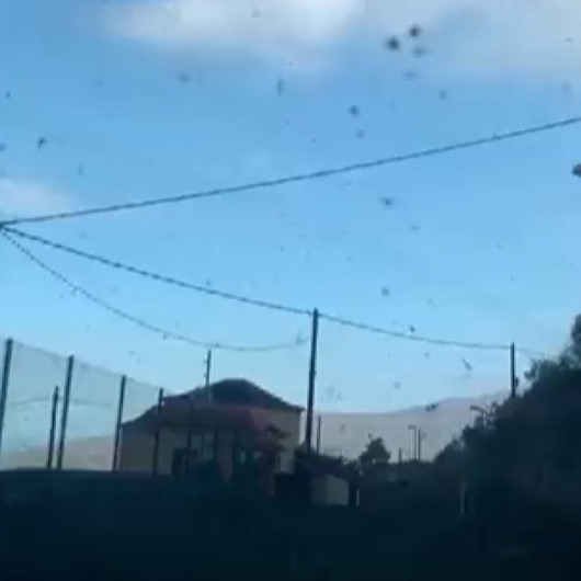 İspanyanın La Palma Adasında gökyüzünden kül yağıyor