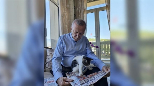 أردوغان يطالع الصحف مع قطة حفيدته