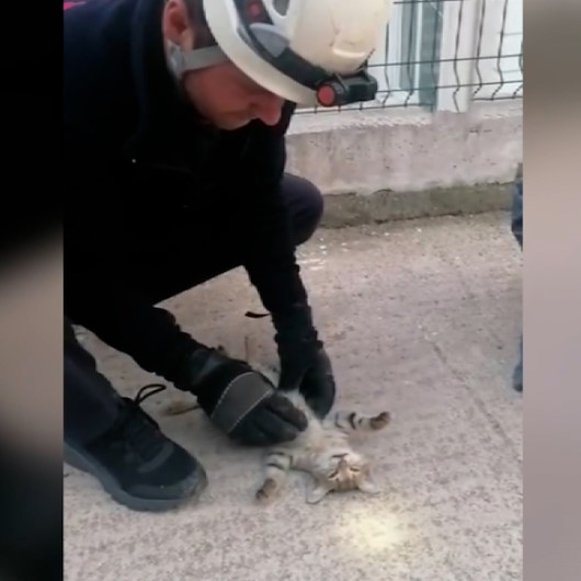 İtfaiye eri kalbi duran yavru kediyi hayata döndürmek için zamanla yarıştı