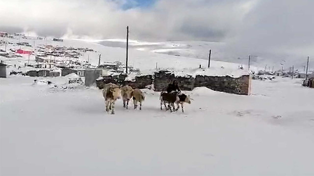 Kar kalınlığı 15 santimetreyi buldu: Yaylacıların dönüş hazırlıkları erken başladı