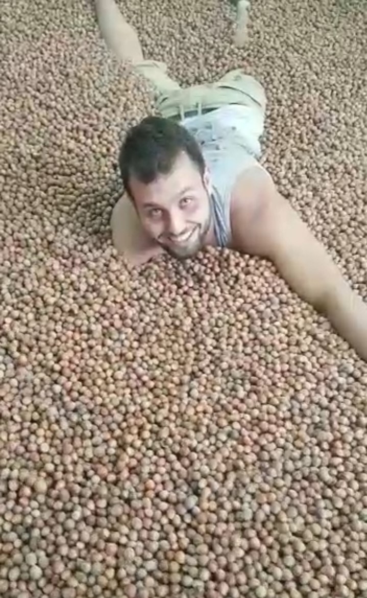 Fındığın içinde kulaç attıkları esnada çektikleri videoyu sosyal medyaya yükleyen Coşkun Geyik ve Halil Can Şahin tepki topladı.