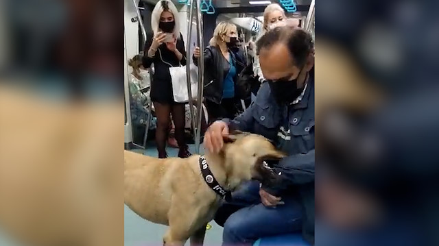 İBB'nin 'PR' köpeği Boji tartışma konusu oldu