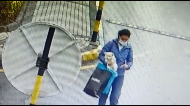 Köpeği çalan kadın kameralara böyle yansıdı.