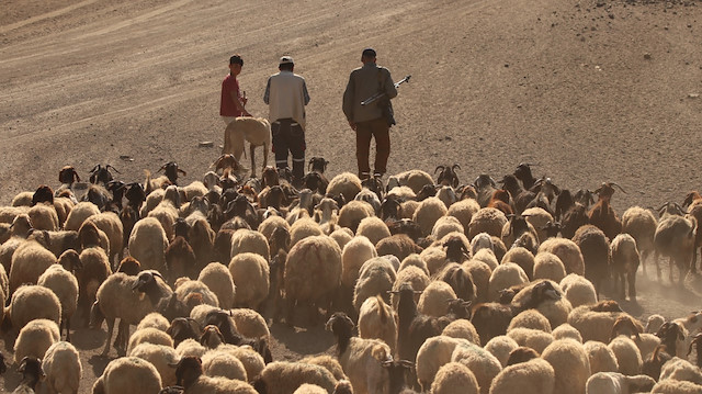 Batman, Siirt, Mardin ve Şırnak gibi illerden ilkbahar mevsiminde Van'ın Erciş, Gürpınar, Çatak, Gevaş ve Başkale ilçeleriyle Hakkari'nin yüksek rakımlı yaylalarına gelerek yaz ayları boyunca burada konaklayan, bu sürede de yağ, yoğurt ve peynirlerini hazırlayan göçerler, yüksek kesimlerde havaların soğumaya başladığı eylül ayının ortalarından itibaren dönüş yolculuğuna başlıyor. 