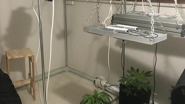 Uyuşturucu yetiştirmek için evin bodrum katını seraya dönüştüren şüpheli yakalandı