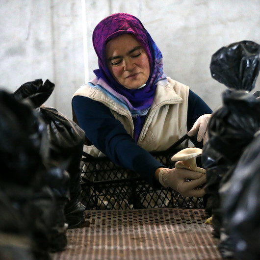Hobi olarak başladı mesleği oldu: Kabaca bir hesap yaptığımız zaman gerçekten güzel bir kazancı var