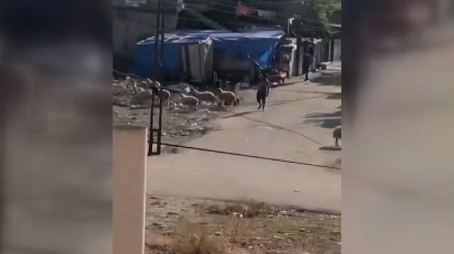 Adana'da 'Cono aşireti' arasında yaşanan silahlı çatışma anları kamerada