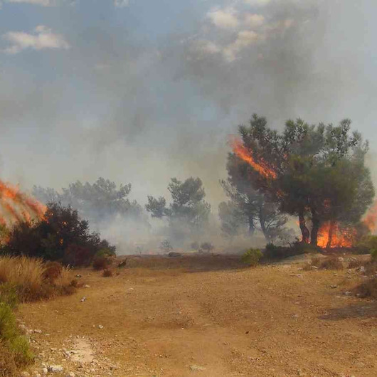 Silifke’de çalılık alanda çıkan yangın ormana sıçradı