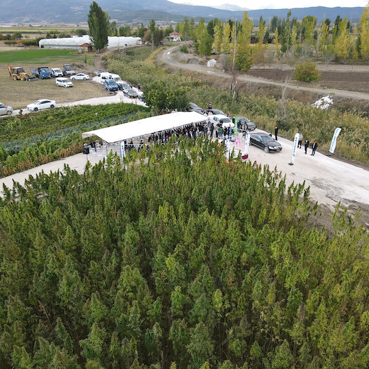 Kenevirde hasat zamanı: Otomotivden kozmetiğe kadar birçok sektörde kullanılacak