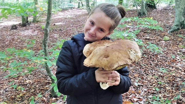 Mustafakemalpaşa ilçesinin Sünlük köyü ormanlarında çok çeşitli mantarlar çıkıyor. Bu bölgede yaşayan köylüler ise büyük çoğunluğu İtalya’ya ihraç olan ayı mantarını toplayarak aile bütçelerine katkı sağlıyor. Diğer mantarlara oranla boyutları büyük olan bu mantarları İtalyanlar pizzalarında kullanıyor.