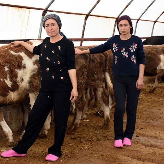Üniversite mezunu kız kardeşlerin başarısı: Devletten aldıkları destekle baba mesleği hayvancılığı sürdürüyorlar