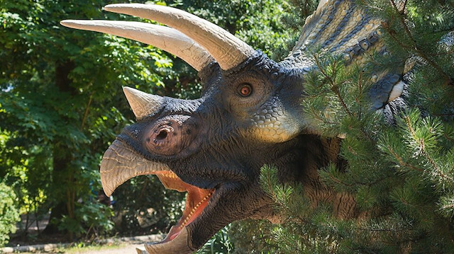 اكتشاف حفرية نادرة لصغير ديناصور شمالي الصين