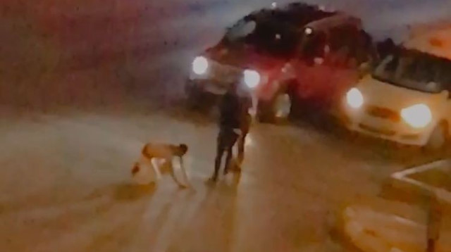Isparta'da trafikte ticari taksiden indirdikleri adamı tekme tokat dövdüler