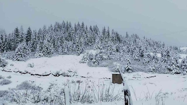 Rize'de kar kalınlığı 20 santimetreyi geçti