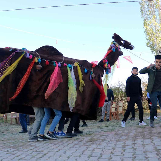 Yer Sivas: Bozkırın en gözde düğün eğlencesi! Deve oyunu asırlar öncesindeki gibi yaşatılıyor