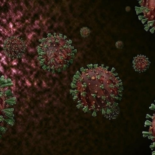 تقرير: فيروس كورونا لم يتم تخليقه باعتباره سلاحا بيولوجيا