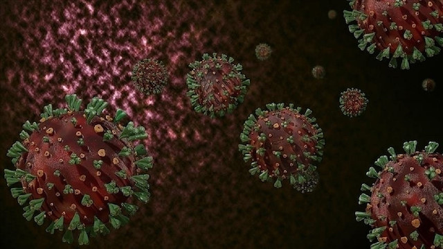 تقرير: فيروس كورونا لم يتم تخليقه باعتباره سلاحا بيولوجيا