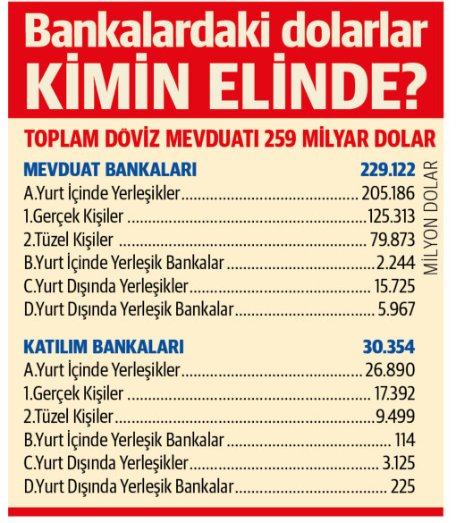 Bankalardaki dolarlarnkimin elinde?