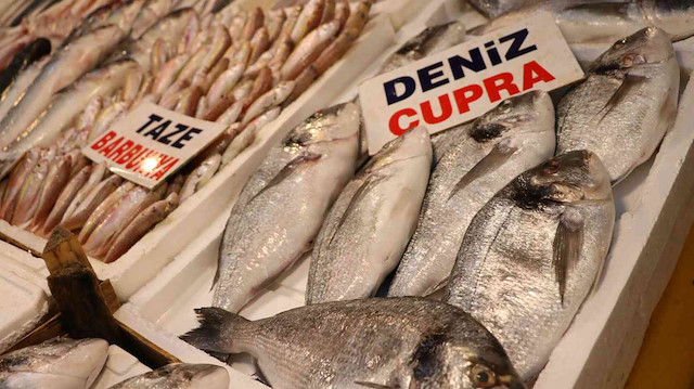 Akdeniz’de havaların iyi gitmesinden dolayı aralık ayının başına gelinmesine rağmen Mersin’de balık fiyatları artmazken, balıkçılar vatandaşları taze ve ucuz balık yemeye çağırdı.