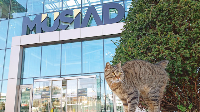 MÜSİAD