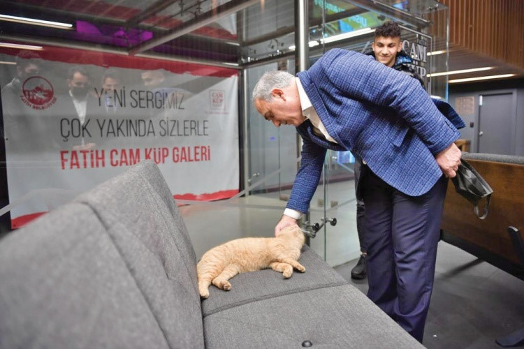 Fatih Belediye Başkanı Mehmet Ergün Turan da tüm Fatihliler gibi sokak hayvanlarına sahip çıkıyor. Turan, Fatih’te açtıkları Sokak Hayvanları Tedavi Merkezi’nde bin 500 sahipsiz hayvana ev sahipliği yaptıklarını belirtiyor . Hayvan gönüllülerinin eğitildiğini ve sokaktaki başıboş hayvanların hem bakımlarıyla hem de hastalıklarıyla belediye olarak ilgilendiklerini dile getiren Turan, “Onlar Allah’ın bize emaneti” diyor.