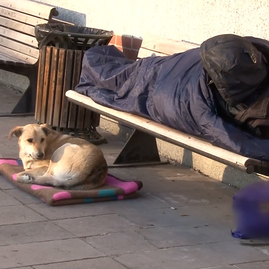 Ankarada evsiz adam battaniyesini sokak köpeğinin altına serdi
