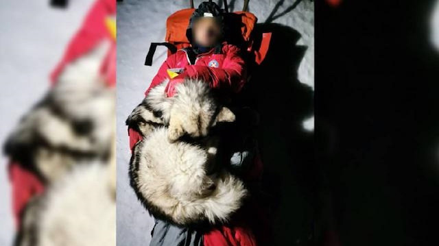 Dağda mahsur kalan dağcının hayatını köpeği kurtardı