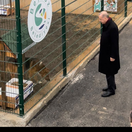 Cumhurbaşkanı Erdoğan, hayvan barınağını ziyaret etti