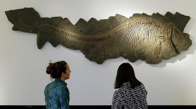İnanılmaz keşif: Deniz ejderi fosili 180 milyon yaşında